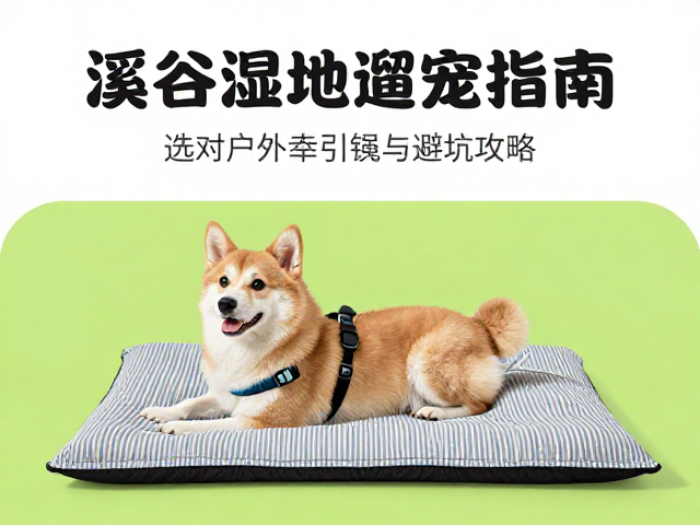 材质耐用性与日常维护的真实逻辑