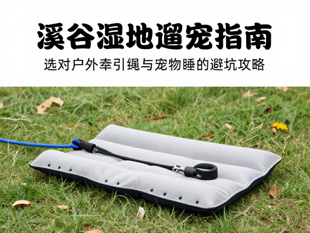 溪谷湿地遛宠指南,选对户外牵引绳与宠物睡垫的避坑攻略