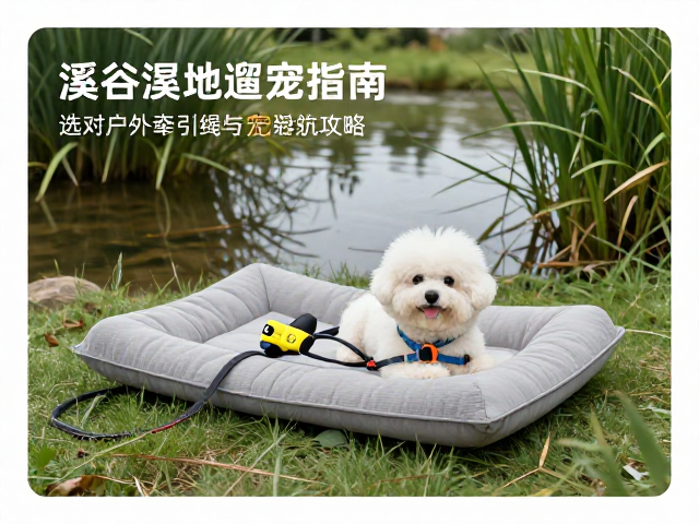 湿地环境下的宠物休憩与防潮策略