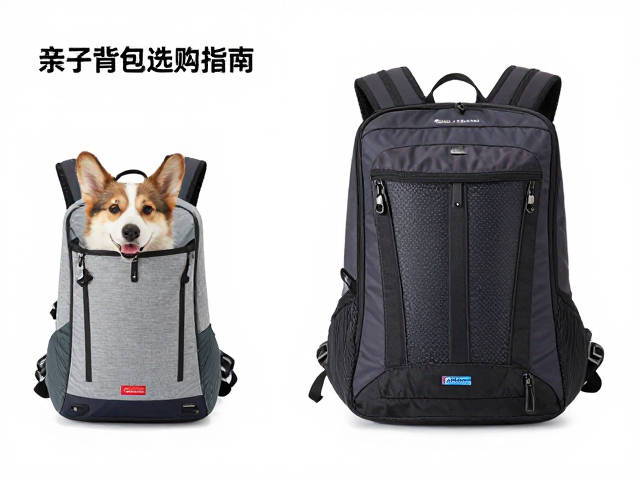 宠物随行背包的适配性与舒适度评估