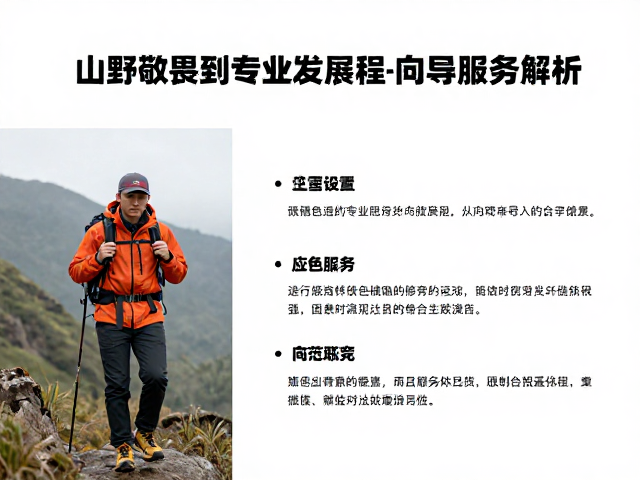 向导服务的核心职能与角色演变
