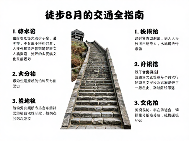 出行交通指南与实用建议