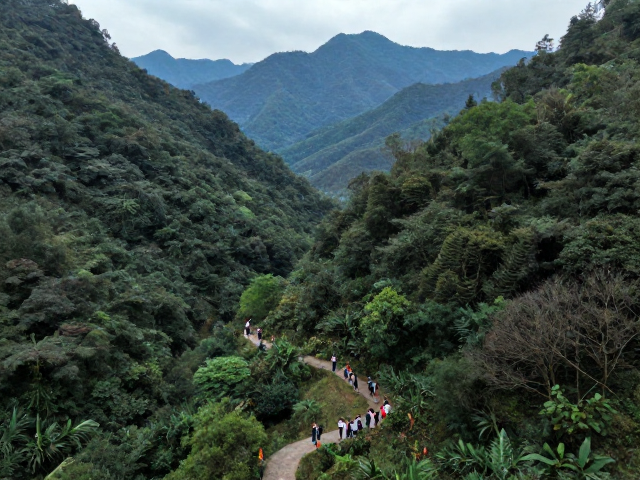 非遗户外传承指南,控制人数,实现人与山林共生