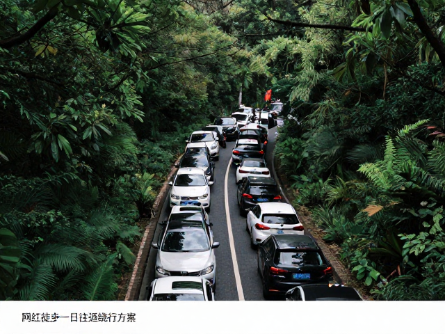 网红路线堵车?森林徒步一日往返绕行方案