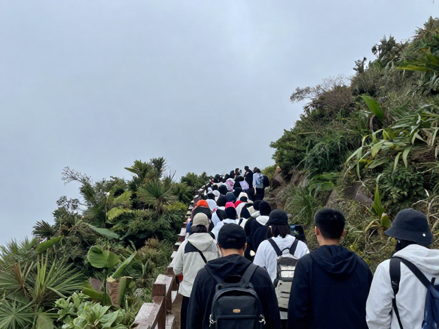 网红路线拥堵成因与卡点解析