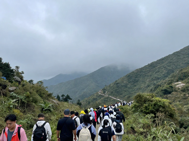 错峰出行与路线规划策略