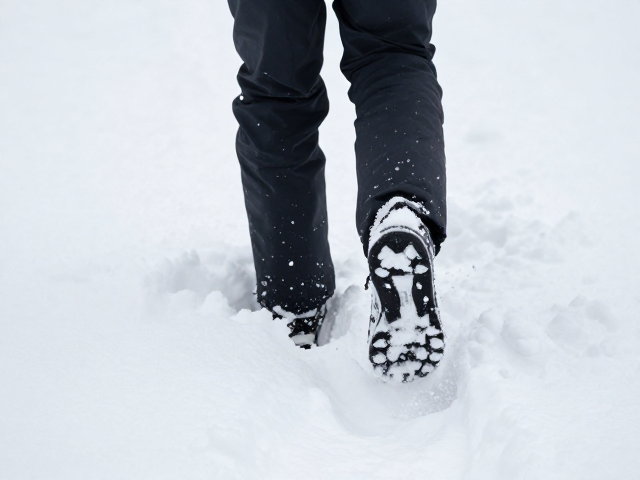 不同雪况的应对策略