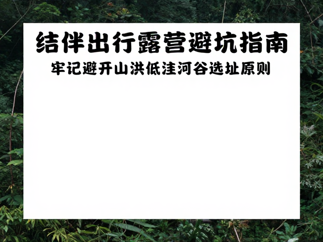 结伴出行的协同避险机制