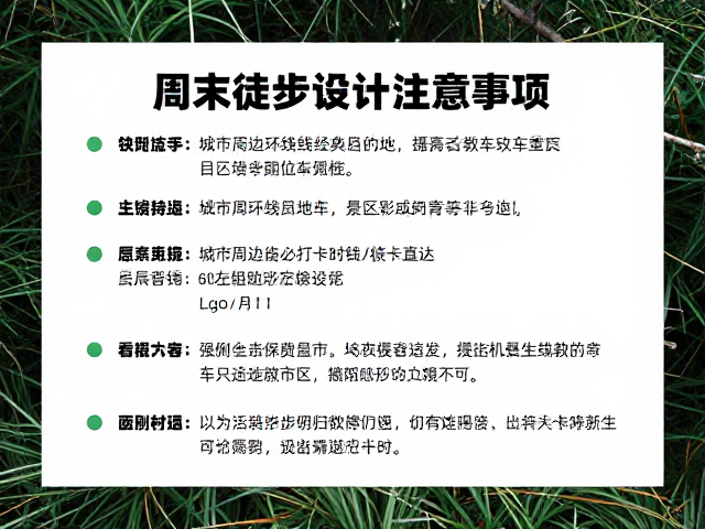 摄影爱好者必打卡