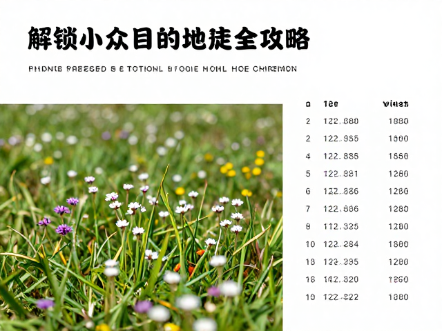 海拔数据与体能匹配指南