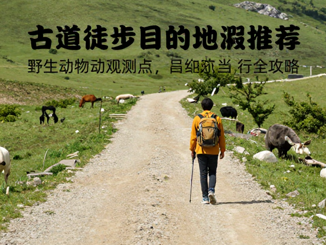 行前准备与安全规范