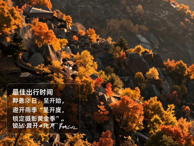 摄影黄金季的视觉资源与光影逻辑