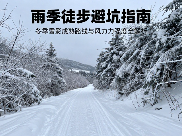 冬季雪景路线的成熟度评估标准
