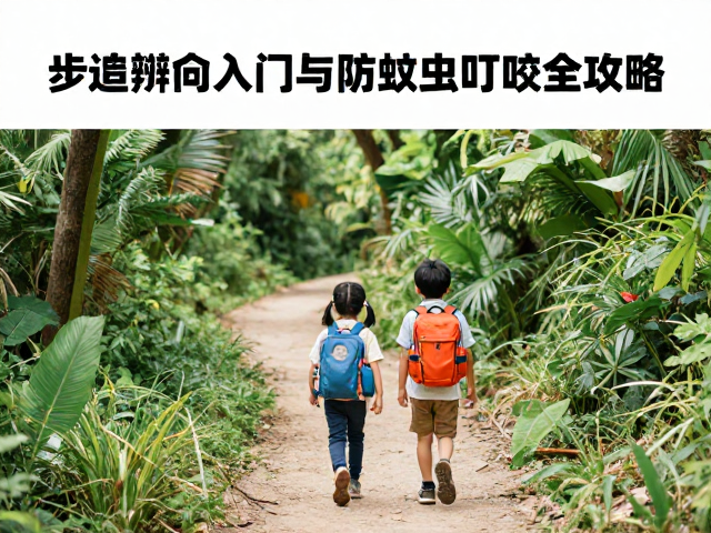 亲子山地徒步指南,步道辨向入门与防蚊虫叮咬全攻略