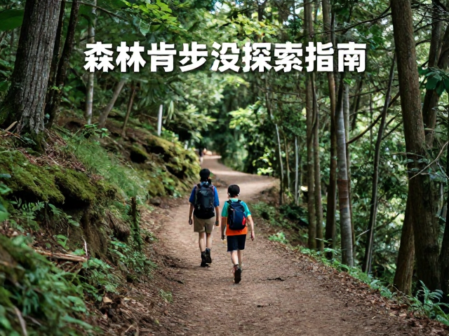 森林低爬升徒步,亲子摄影技巧与步道探索指南