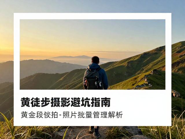 批量照片管理的效率优化与存储规范