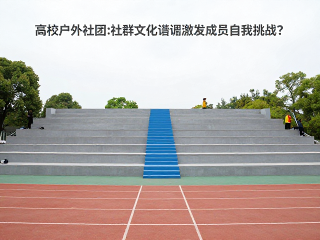 阶梯式挑战体系的设计与反馈机制