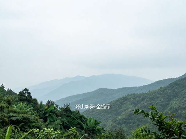 和谐共生,传承自然之美