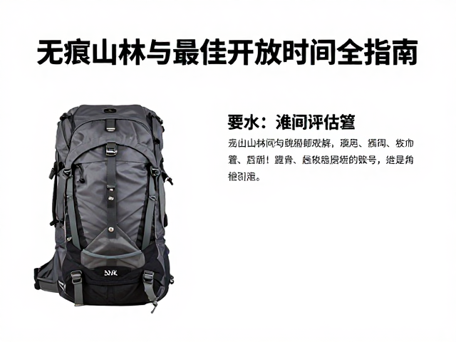 安全风险评估与应急准备