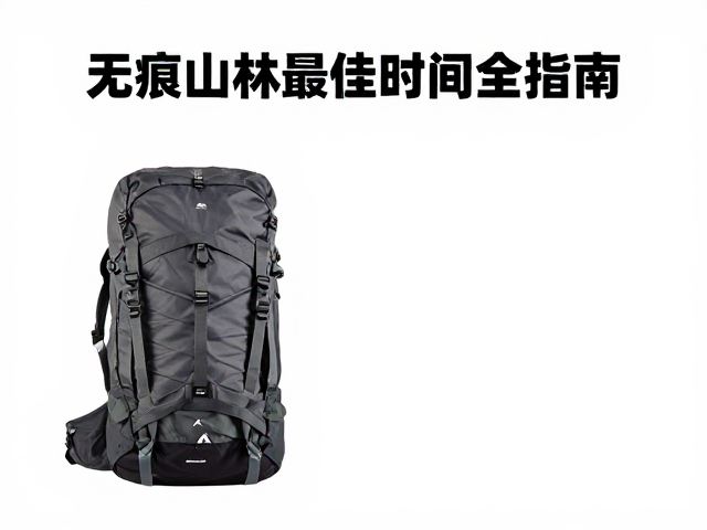 最佳开放时间与季节性气象特征