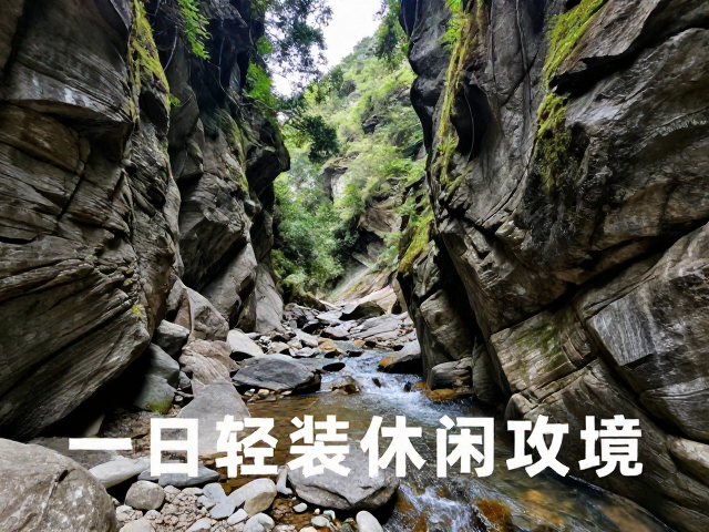无痕山林:生态保护与行为规范