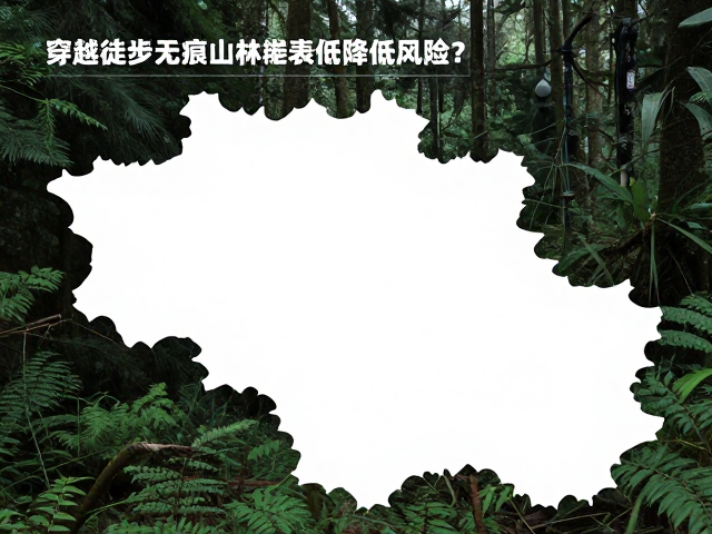 穿越徒步无痕山林,登山杖如何降低高反风险?