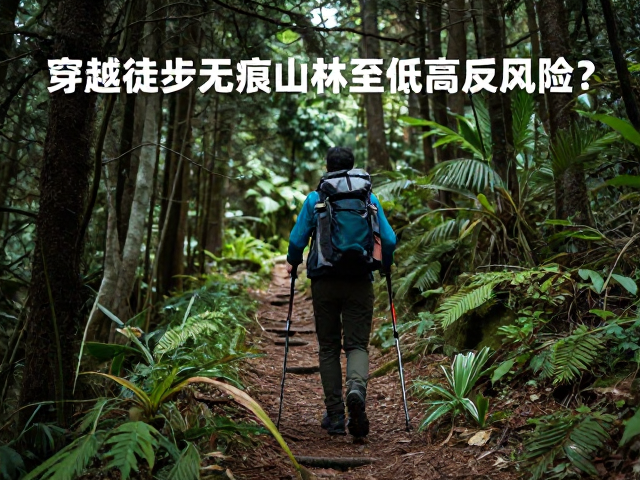 步态稳定性与核心肌群协同