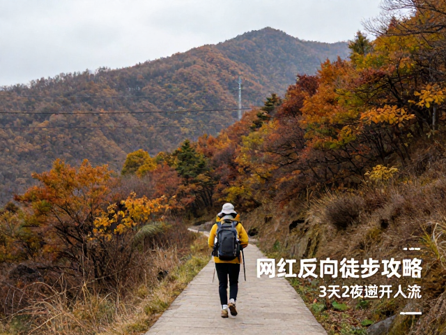 初秋秦岭北麓的静谧探索