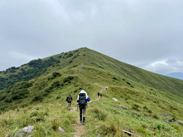 次日行程:翻越垭口与高山草甸行进