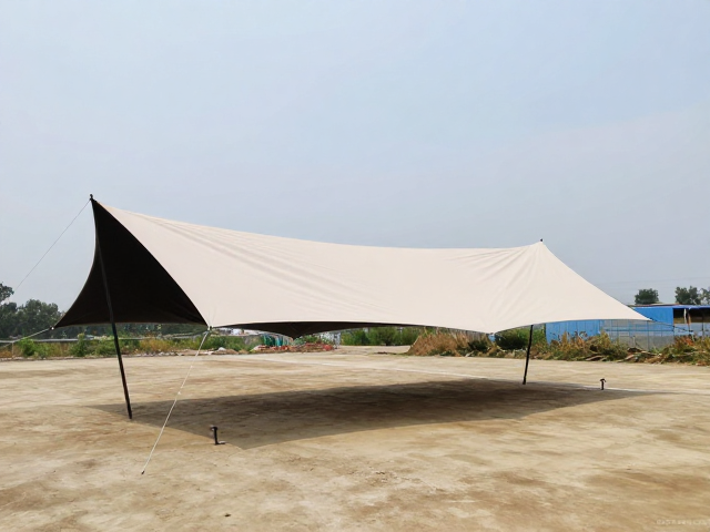 搭建前的场地评估与锚点选择