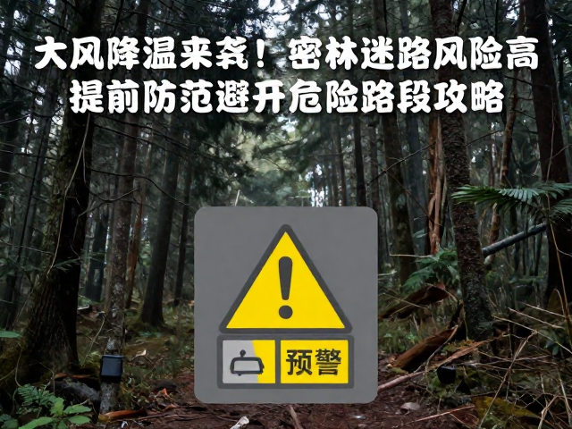 大风降温来袭!密林迷路风险高,提前防范避开危险路段攻略