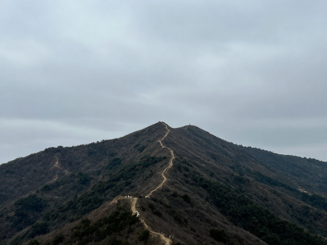 构图策略与手机拍摄参数设置