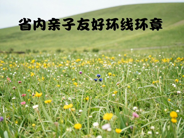 实用信息与行前准备