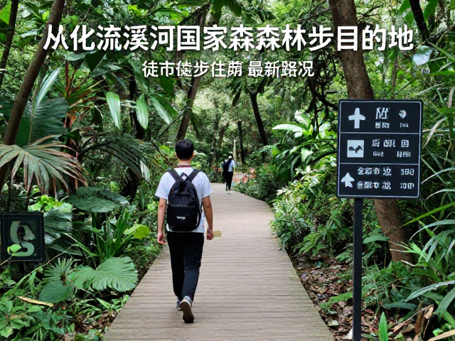 广州周边从化流溪河国家森林公园徒步径