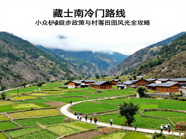 路线规划与交通衔接的实际操作指南