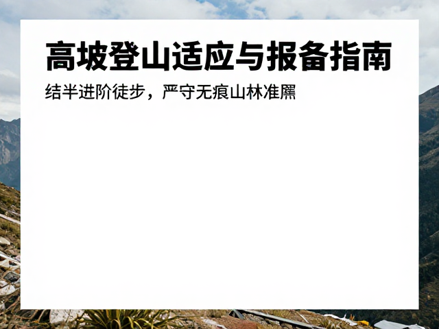 严守无痕山林准则的生态责任
