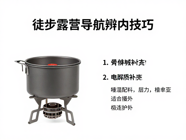 电解质补充与体能维持策略