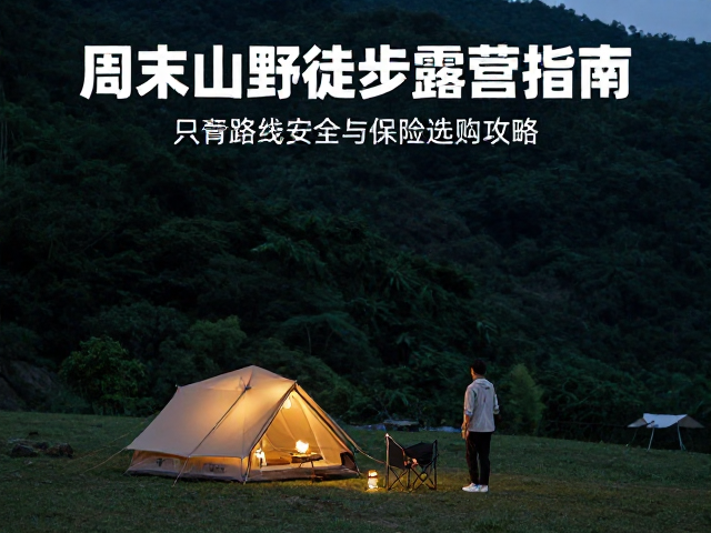 保险选购策略:场景匹配与条款细节