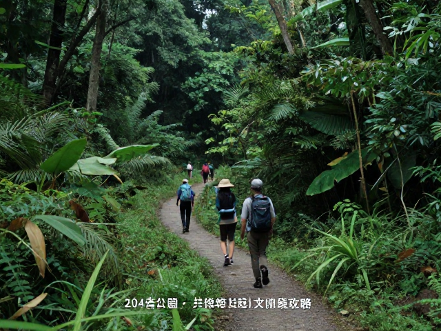 低干扰行进：无痕山林准则的实际应用