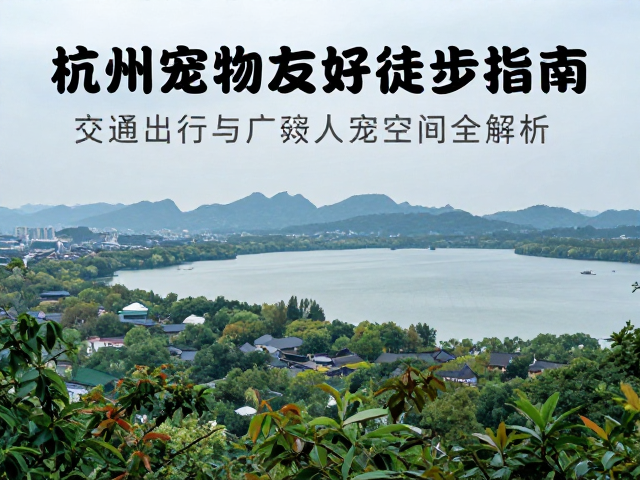 环保守则与无痕山林实践