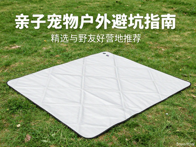 户外安全与应急处理常识