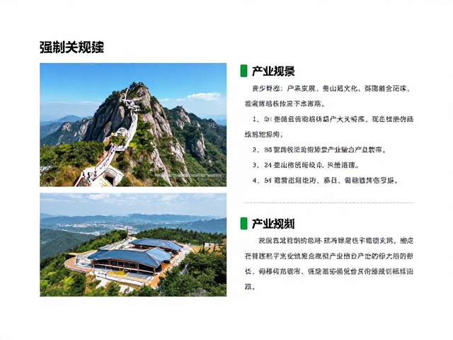 产业标准化建设与长期生态影响