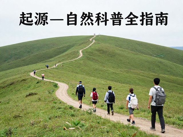 亲子徒步的安全保障与风险管理
