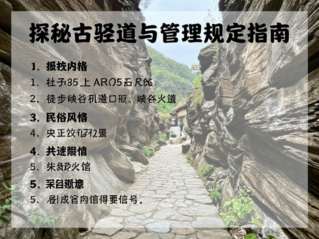 守护与规范:管理规定与安全准则