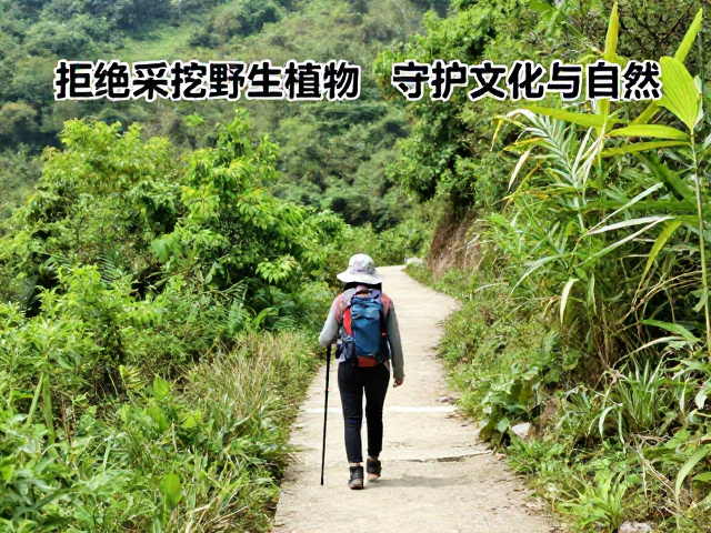 践行绿色徒步,让守护成为常态