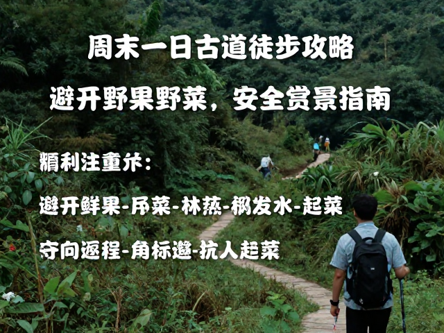 返程与后续注意事项
