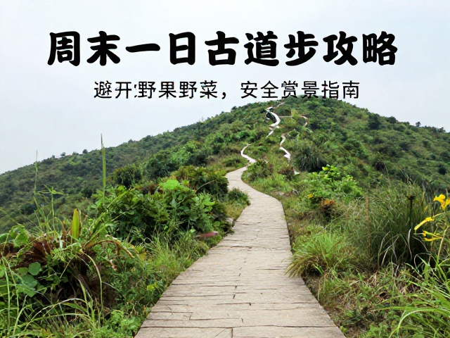 古道景观欣赏与文化体验