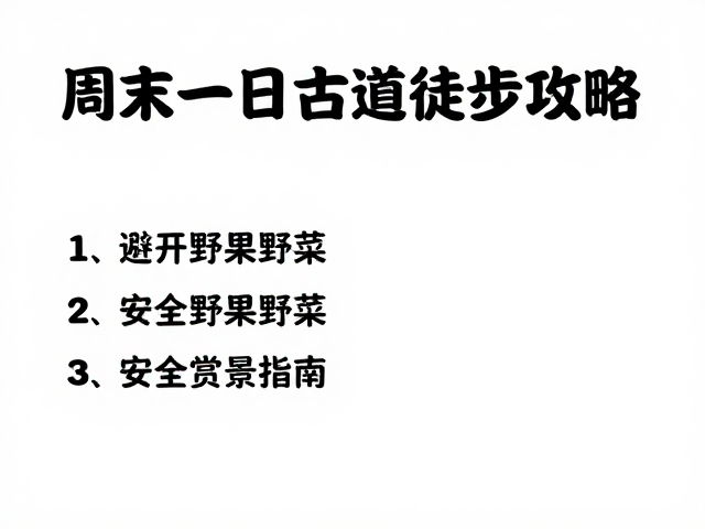 行进中的安全规范与风险规避