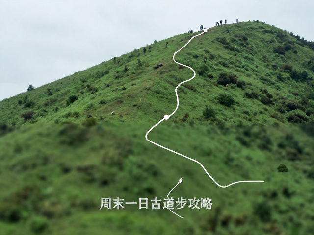 周末一日古道徒步攻略,避开野果野菜,安全赏景指南