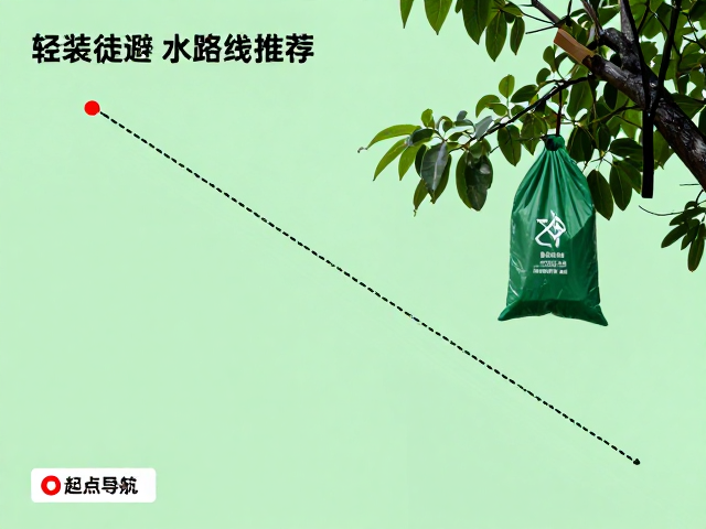 环保践行与垃圾管理